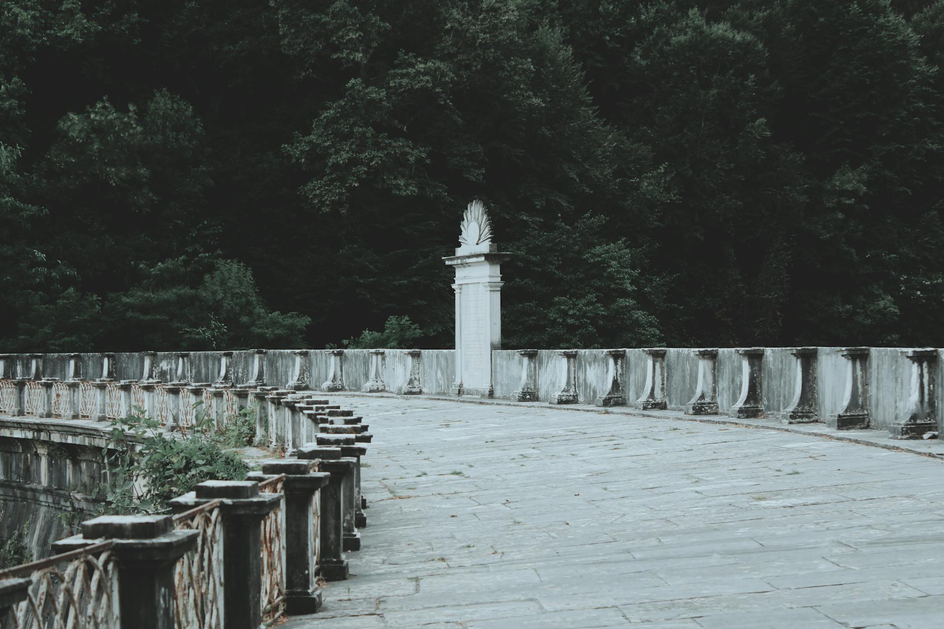 Antiguo muro de piedra de una represa rodeado por la vegetación del Bosque de Belgrado.
