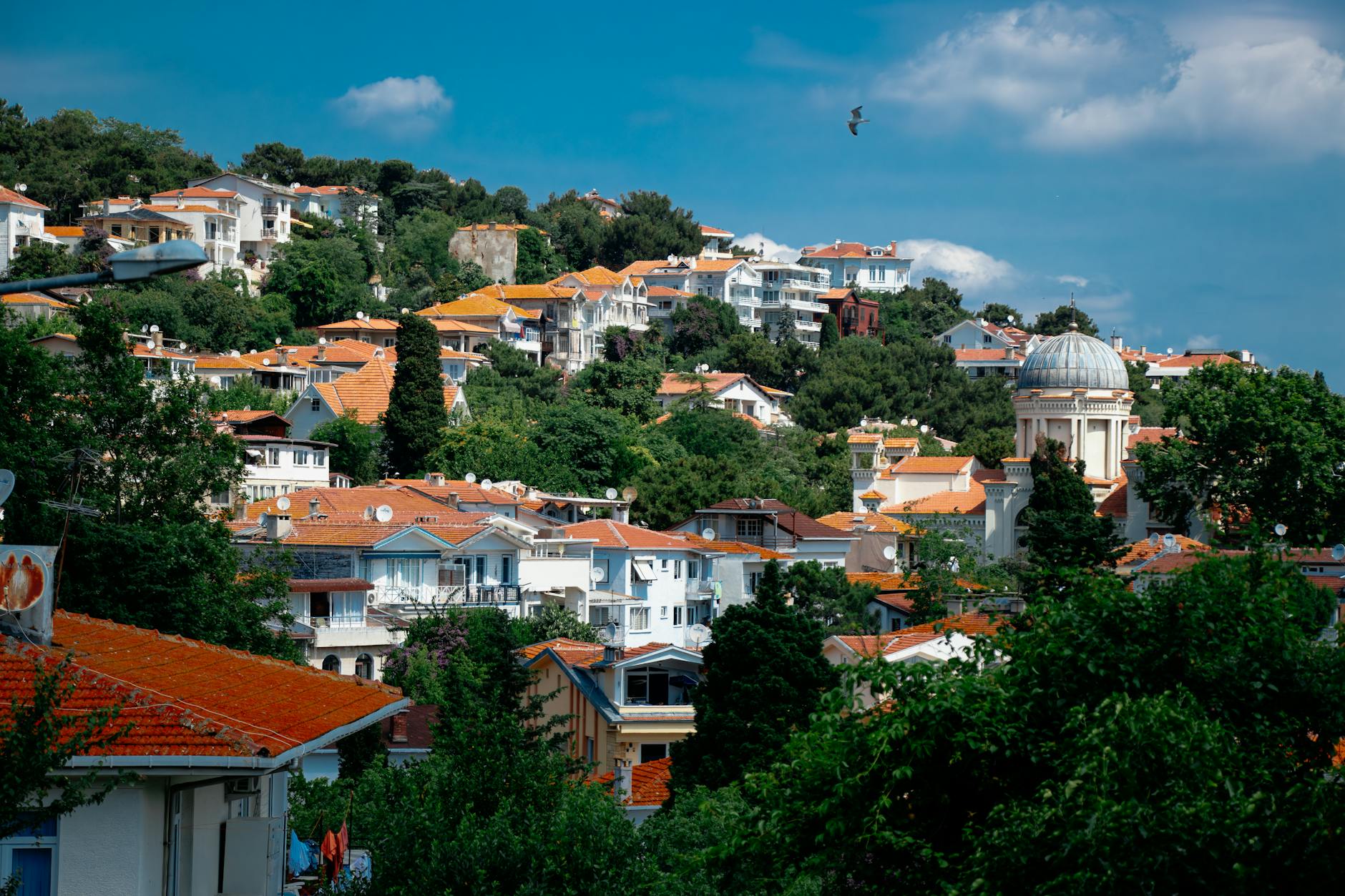 Casas blancas con tejados rojos entre la densa vegetación de la isla Burgazada.